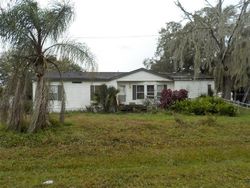 Bank Foreclosures in MULBERRY, FL