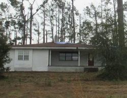 Bank Foreclosures in COTTONDALE, FL