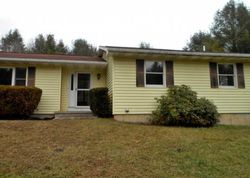 Bank Foreclosures in HARPURSVILLE, NY