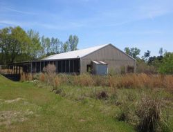 Bank Foreclosures in NEESES, SC