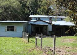 Bank Foreclosures in NEWBERRY, FL
