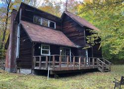 Bank Foreclosures in MOUNT TREMPER, NY