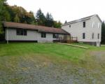 Bank Foreclosures in PARKSVILLE, NY