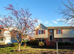 Bank Foreclosures in STRASBURG, VA