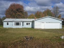 Bank Foreclosures in BIRCH RUN, MI