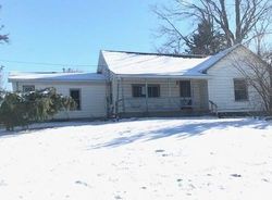 Bank Foreclosures in OTTER LAKE, MI