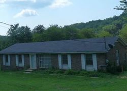 Bank Foreclosures in LYNCHBURG, TN