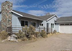 Bank Foreclosures in WASHOE VALLEY, NV