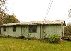 Bank Foreclosures in CITRONELLE, AL