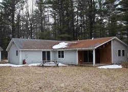 Bank Foreclosures in SEARS, MI