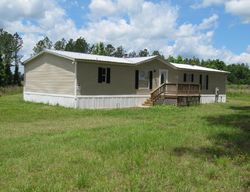 Bank Foreclosures in WELLBORN, FL