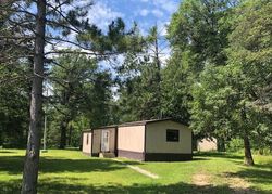 Bank Foreclosures in WANNASKA, MN