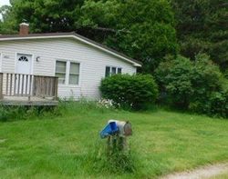 Bank Foreclosures in LUDINGTON, MI