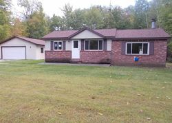 Bank Foreclosures in LUPTON, MI