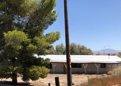 Bank Foreclosures in OVERTON, NV