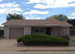 Bank Foreclosures in TYRONE, NM