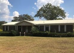 Bank Foreclosures in MOLINO, FL