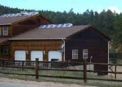 Bank Foreclosures in PINE GROVE, CO