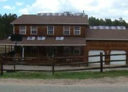 Bank Foreclosures in PINE GROVE, CO