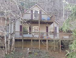 Bank Foreclosures in ROAN MOUNTAIN, TN