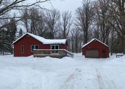 Bank Foreclosures in PALISADE, MN