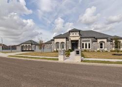 Bank Foreclosures in ALAMO, TX