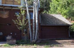 Bank Foreclosures in RIDGWAY, CO