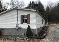 Bank Foreclosures in CRAIGSVILLE, WV