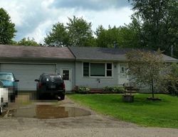 Bank Foreclosures in DANSVILLE, MI