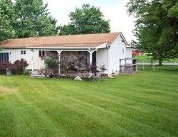 Bank Foreclosures in OTTER LAKE, MI