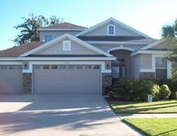 Bank Foreclosures in LITHIA, FL