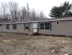 Bank Foreclosures in KALEVA, MI