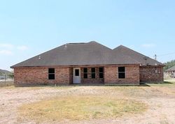 Bank Foreclosures in PENITAS, TX