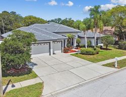 Bank Foreclosures in PALM HARBOR, FL