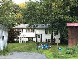 Bank Foreclosures in GRAHAMSVILLE, NY