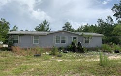 Bank Foreclosures in FLORAHOME, FL