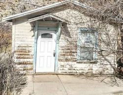 Bank Foreclosures in PIOCHE, NV