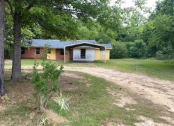 Bank Foreclosures in NEWHEBRON, MS