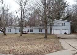 Bank Foreclosures in MANISTEE, MI