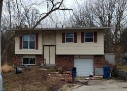 Bank Foreclosures in FESTUS, MO