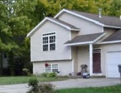 Bank Foreclosures in FENNVILLE, MI