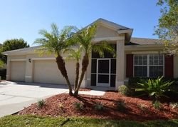 Bank Foreclosures in APOLLO BEACH, FL