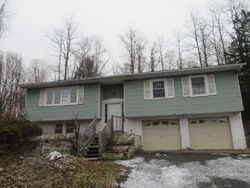 Bank Foreclosures in WINGDALE, NY