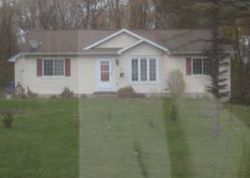 Bank Foreclosures in EATON RAPIDS, MI