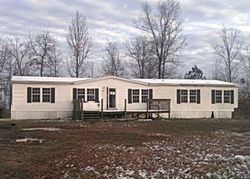 Bank Foreclosures in HOHENWALD, TN