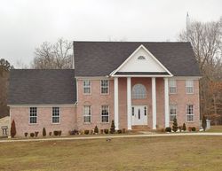 Bank Foreclosures in BUCHANAN, TN