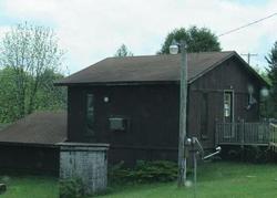 Bank Foreclosures in MESICK, MI