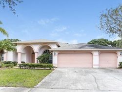 Bank Foreclosures in ODESSA, FL