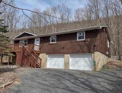 Bank Foreclosures in EFFORT, PA