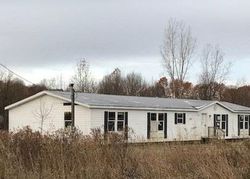 Bank Foreclosures in CLARKSVILLE, MI